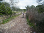 gal/2010/03 - La Via delle Miniere 2010/Al podere Quato/_thb_DSCF0709-01.jpg